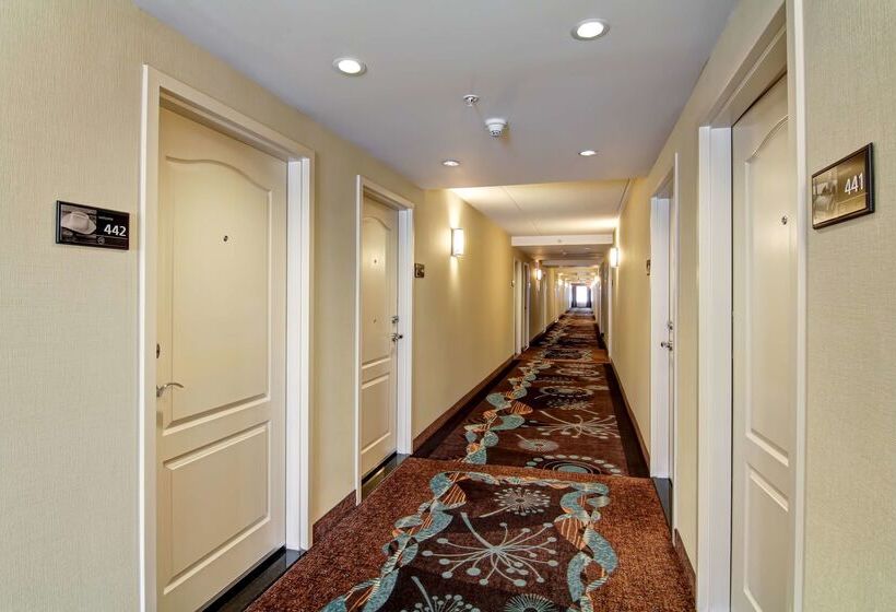 هتل Hampton Inn By Hilton Toronto Airport Corporate Centre