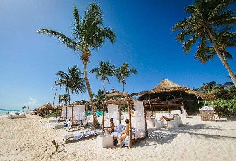 Fotos del hotel Hip Hotel Tulum:  19