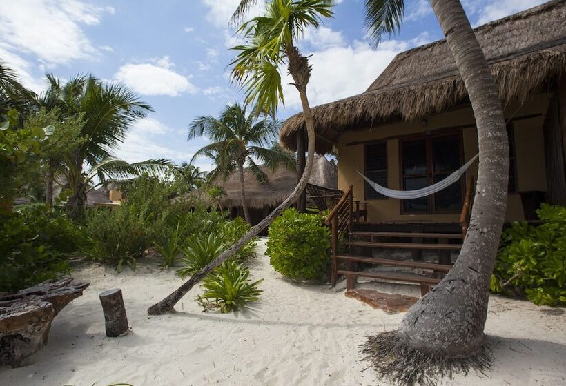 Fotos del hotel Hip Hotel Tulum:  22