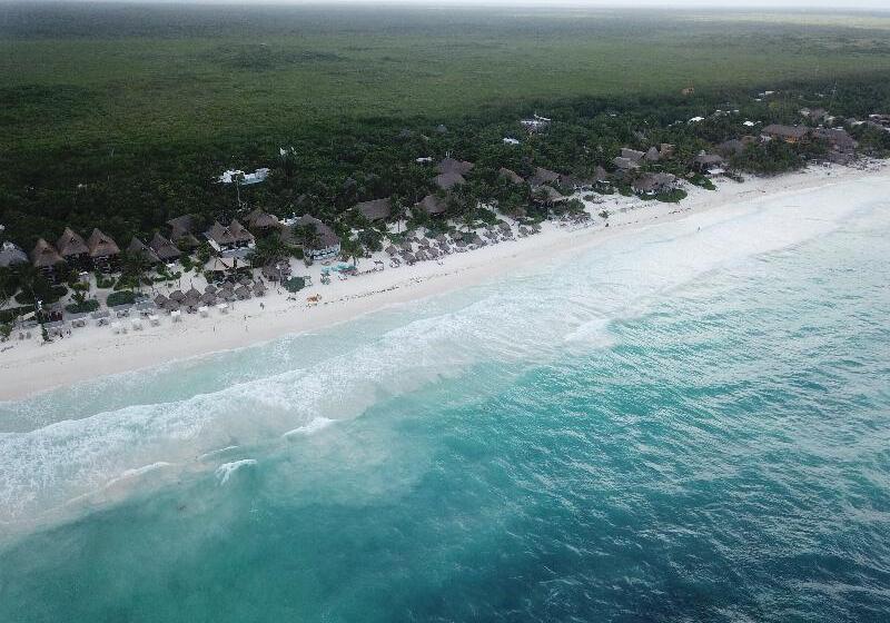 هتل Hip  Tulum