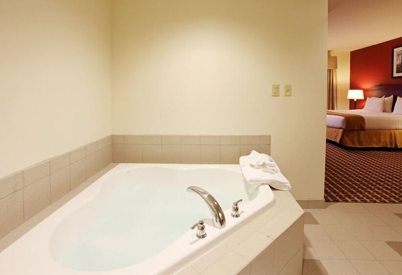 هتل Holiday Inn Express  & Suites Columbus University Area Ohio State University