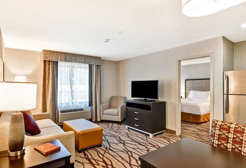 هتل Homewood Suites By Hilton Boston/cambridgearlington, Ma
