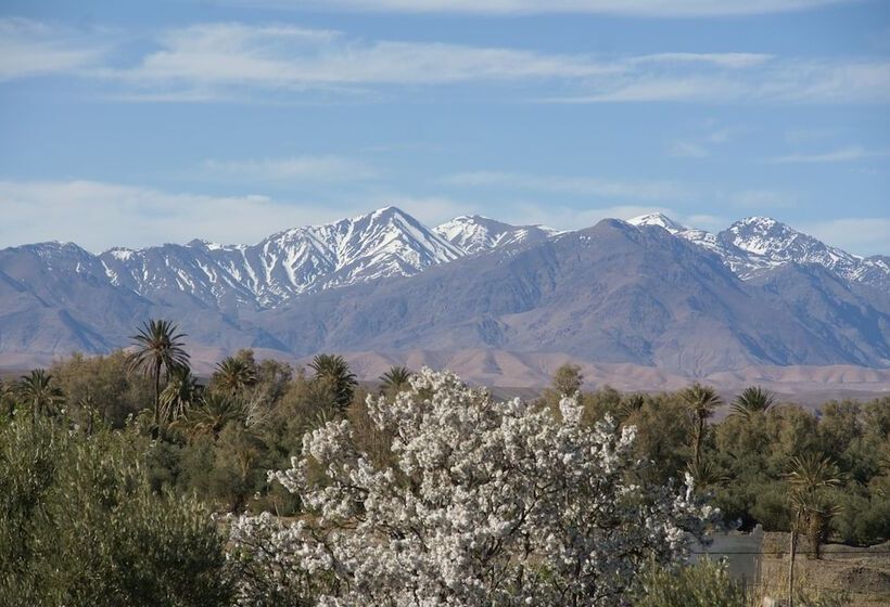 هتل Kasbah Ait Ben Damiette