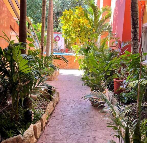 Fotos del hotel Suites Cancun Center:  44