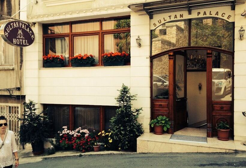 Fotos del hotel Sultan Palace Hotel:  18