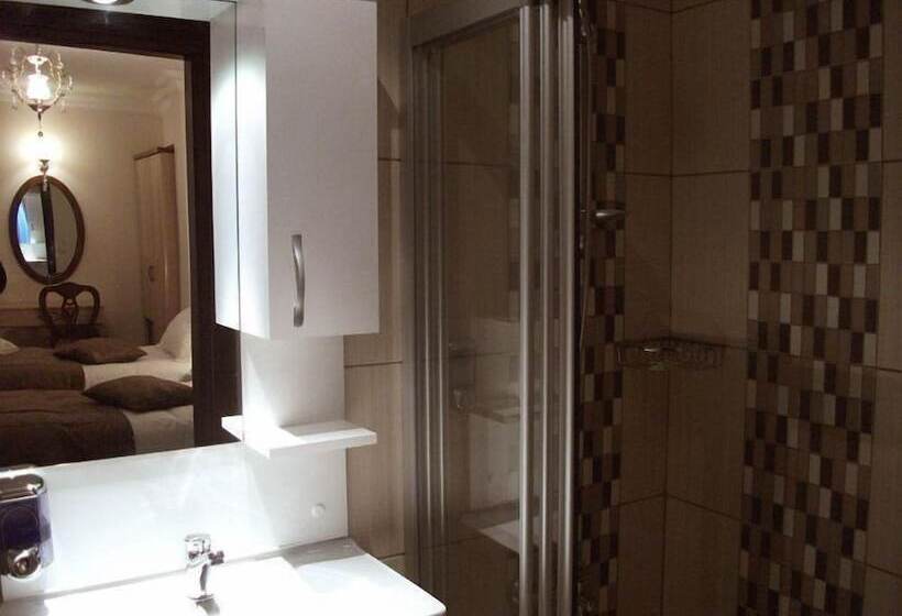 Fotos del hotel Sultan Palace Hotel:  8