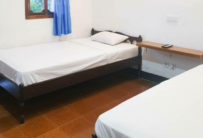 Отель Arlina S Guest House Kintamani Redpartner