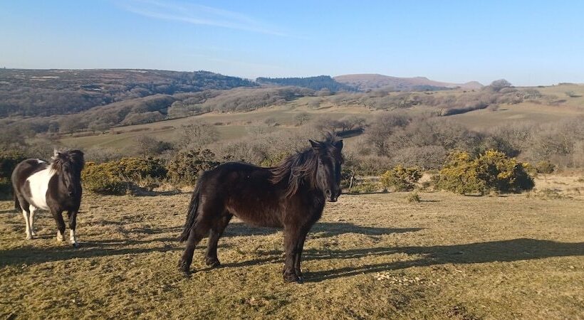 فندق The Craft House
