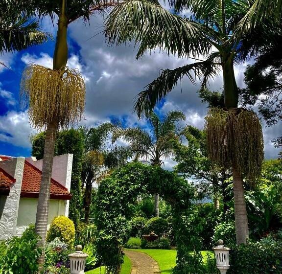 پانسیون Bollinger Guest House