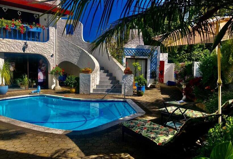پانسیون Bollinger Guest House