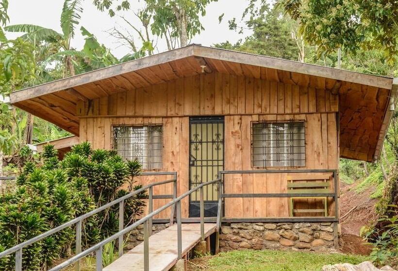 בית מלון כפרי Los Cafetales Eco Lodge