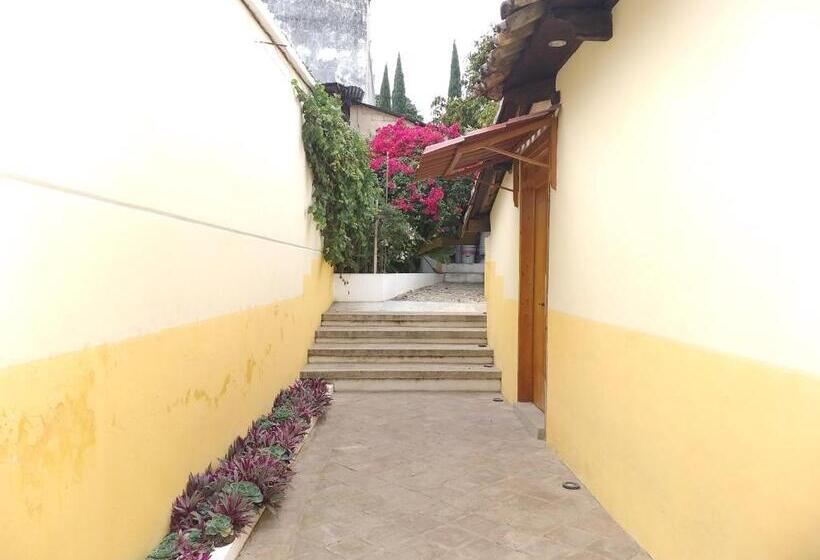هتل De Las Flores