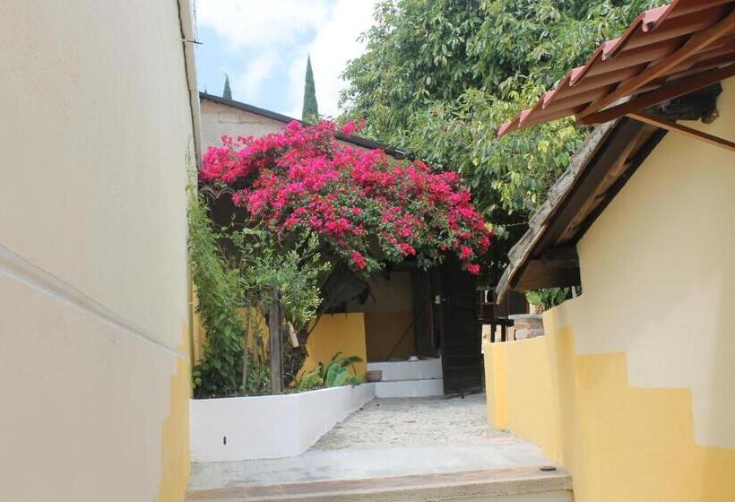 هتل De Las Flores