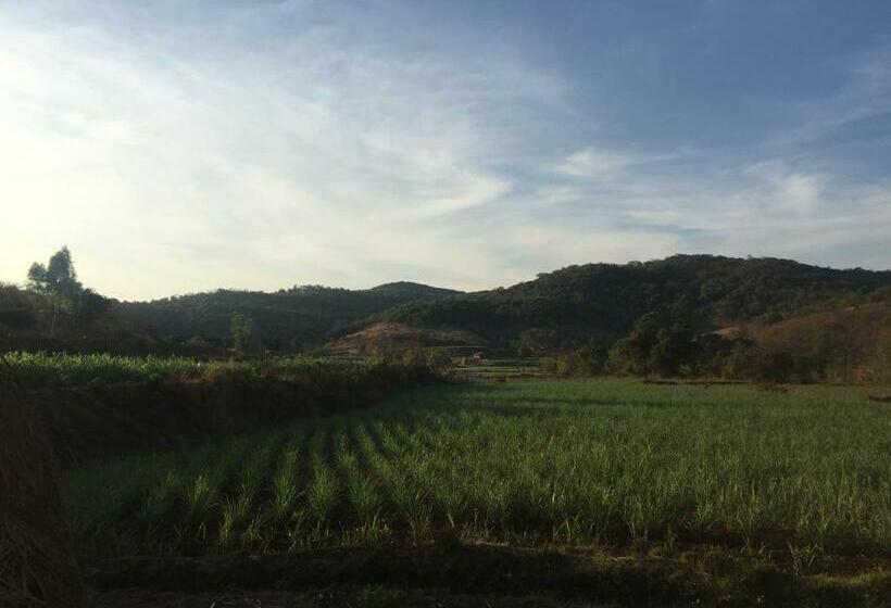 בית מלון כפרי The Palmnest Resort