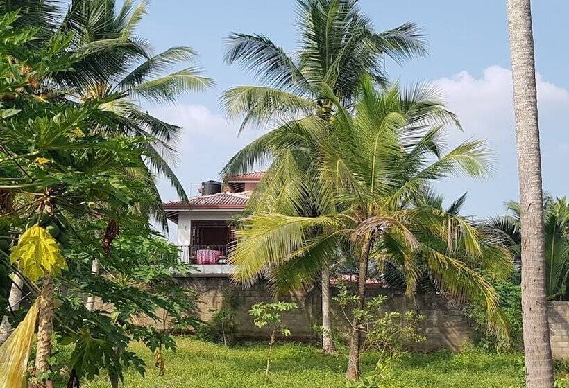 膳宿费 The Villa Sun Shine