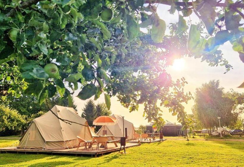 استراحتگاه Buitengoed De Boomgaard Utrecht   Bunnik