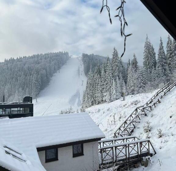 Отель Chalet Blanc