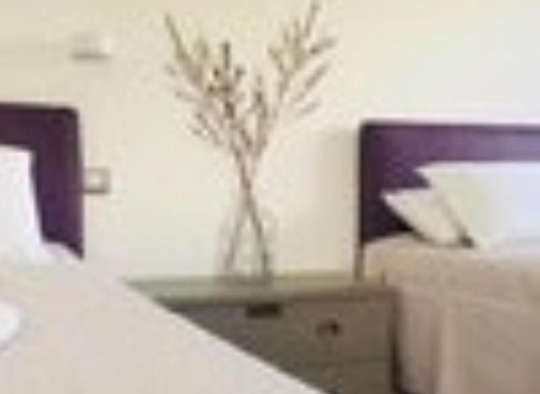 Oliveto Bed And Breakfast