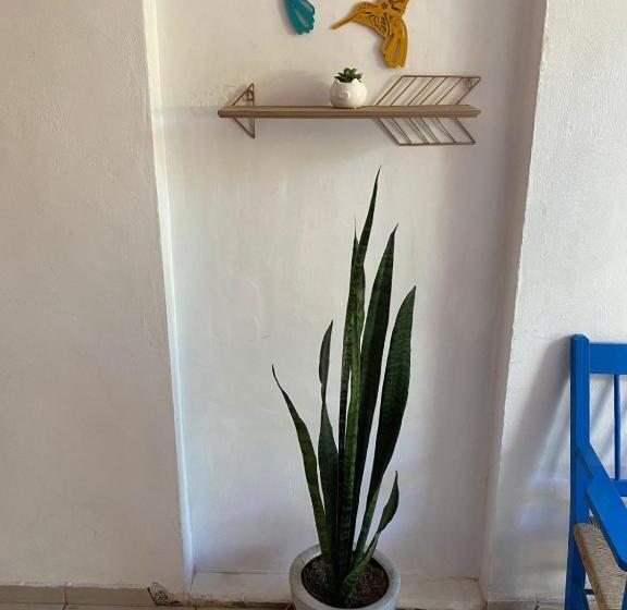 هاستل Casa Ceci Inn