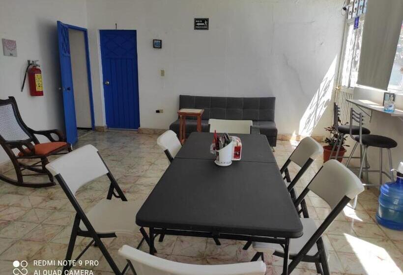 هاستل Casa Ceci Inn