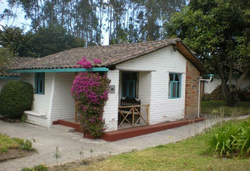 هاستل Las Palmeras Inn