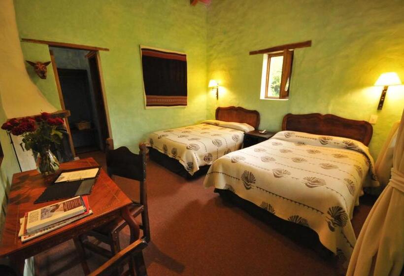 هاستل Las Palmeras Inn