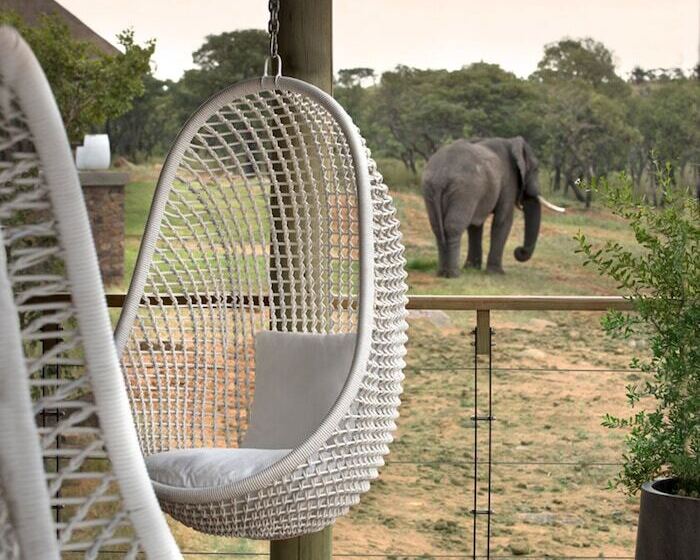 هتل Mhondoro Safari Lodge & Villa