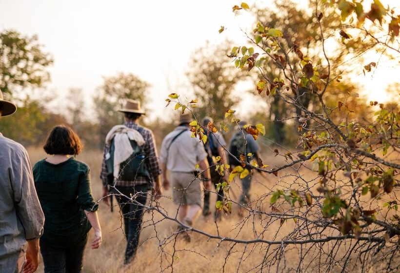 هتل Simbavati Trails Camp