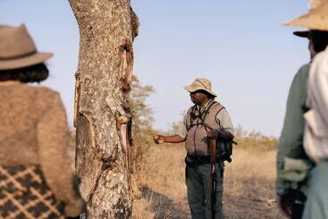 هتل Simbavati Trails Camp