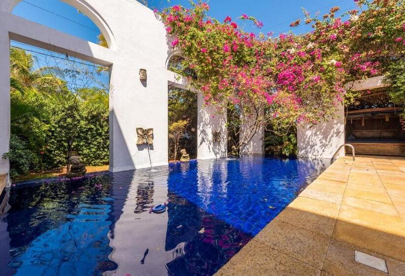 Fotos del hotel Casa Harb  Boutique:  61