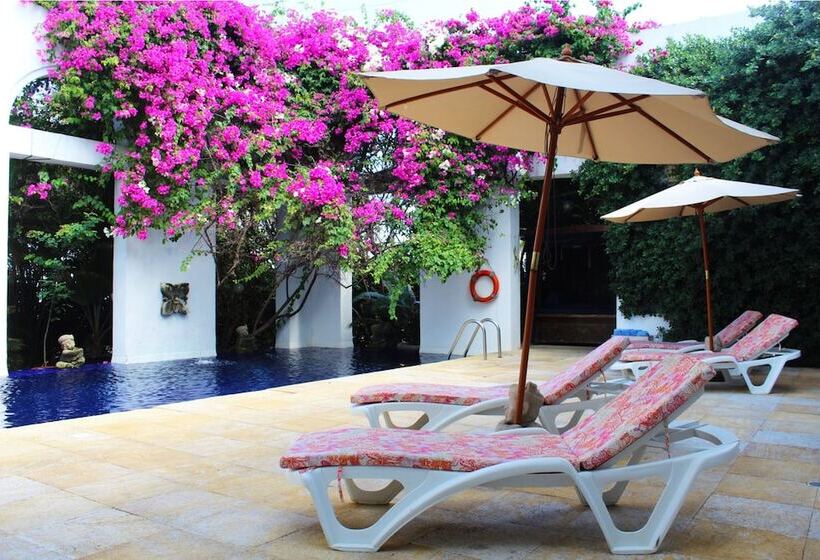 Fotos del hotel Casa Harb  Boutique:  51