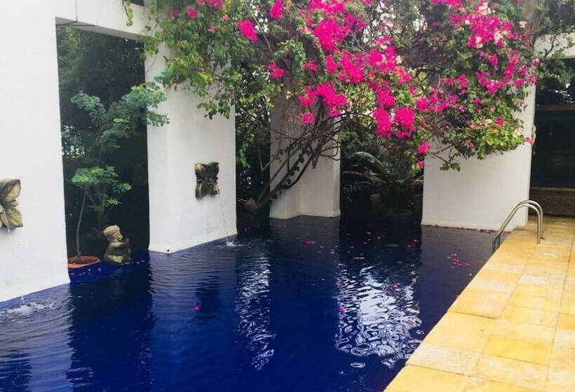 Fotos del hotel Casa Harb  Boutique:  12