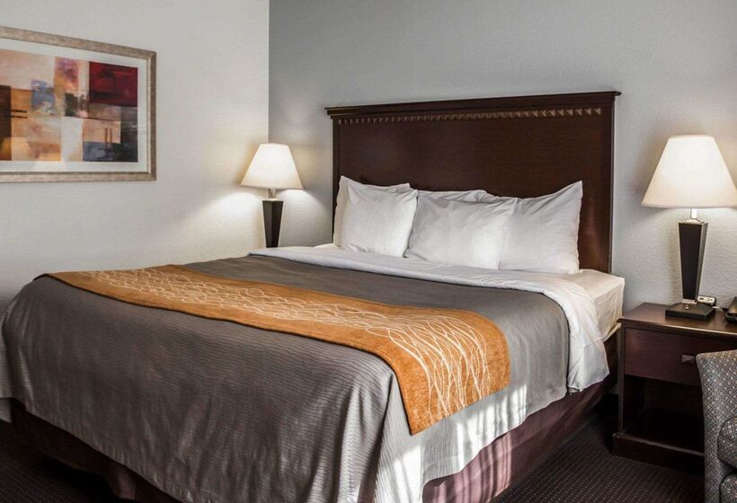 هتل Comfort Inn & Suites Lumberton Central I 95