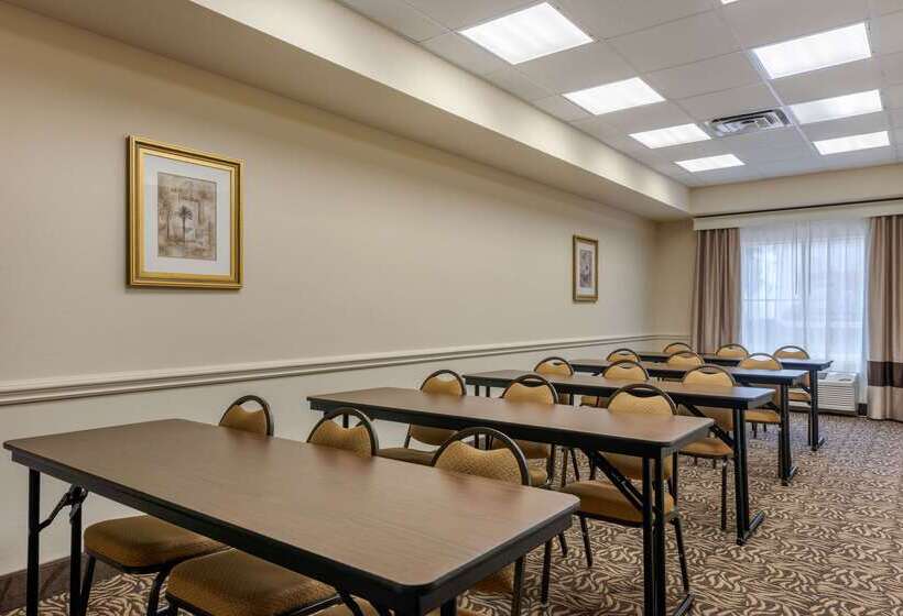 בית מלון כפרי Comfort Inn & Suites Airport