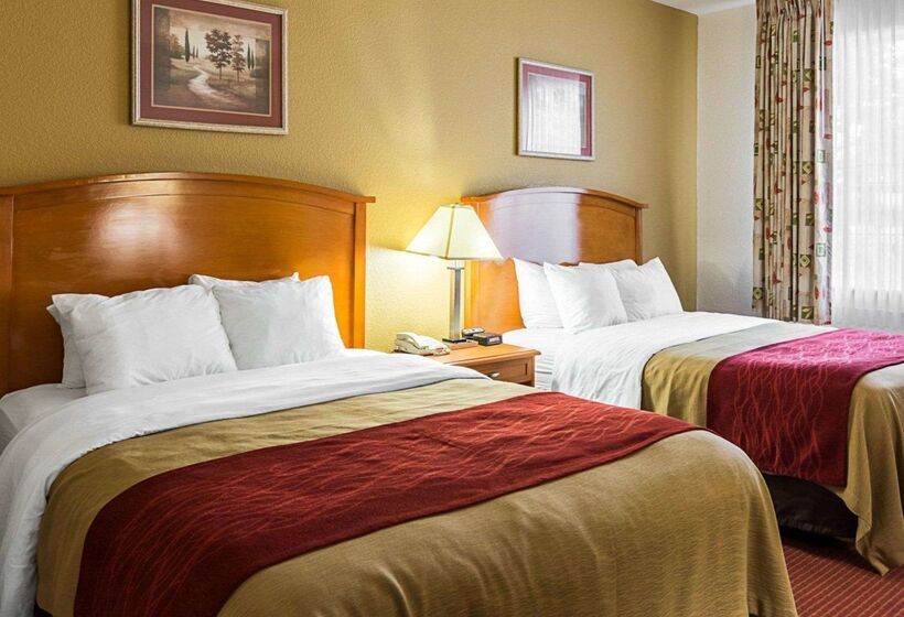 هتل Comfort Inn & Suites Chesapeake  Portsmouth