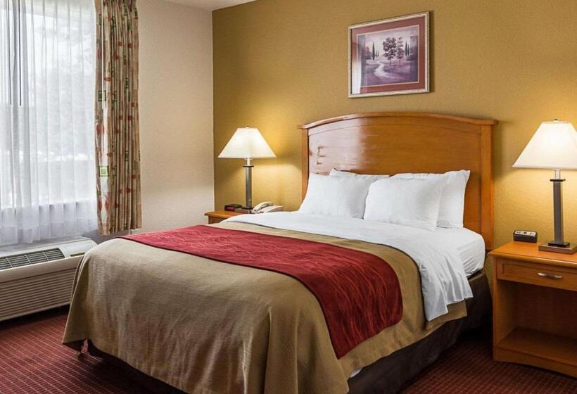 هتل Comfort Inn & Suites Chesapeake  Portsmouth
