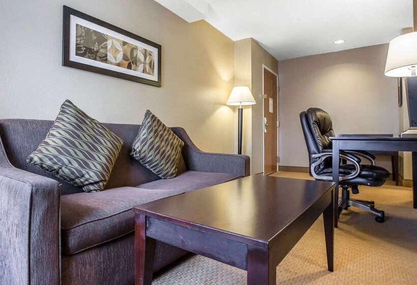 Отель Comfort Inn & Suites Near Tinley Park Amphitheater