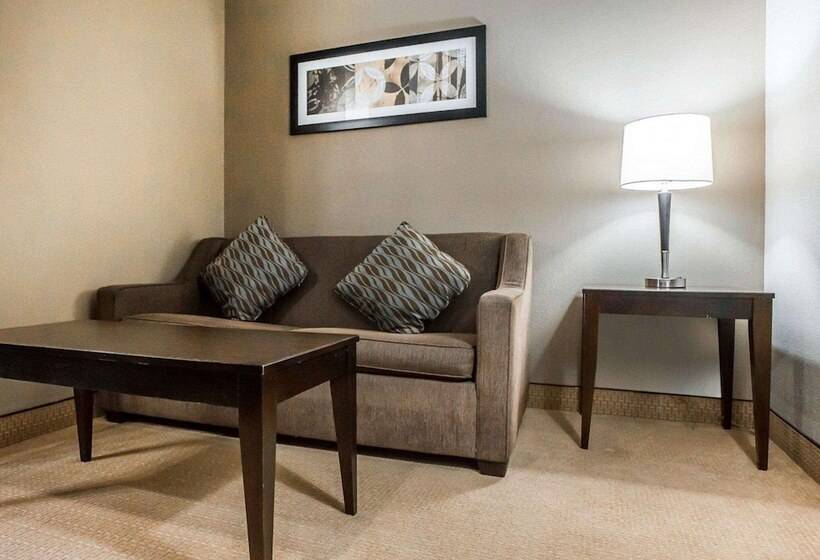 Отель Comfort Inn & Suites Near Tinley Park Amphitheater
