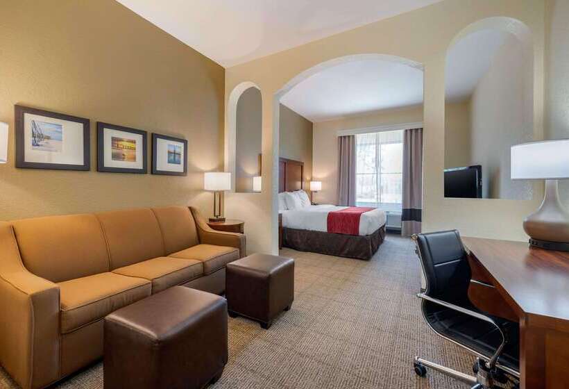فندق Comfort Inn & Suites Northeast  Gateway