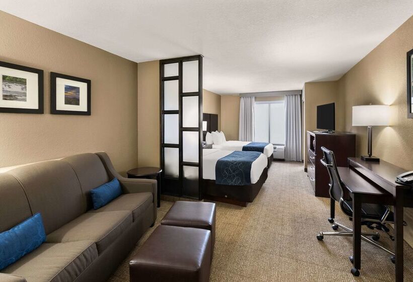 Отель Comfort Suites