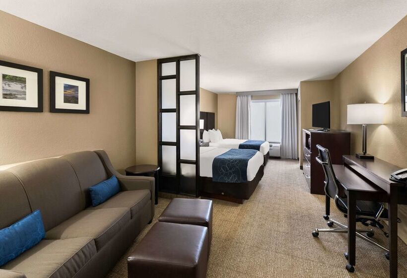 Hotel Comfort Suites