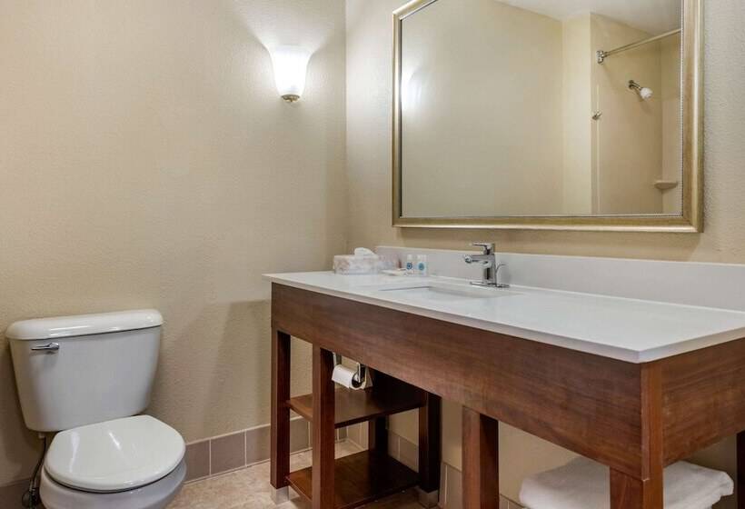 هتل Comfort Suites Daytonwright Patterson