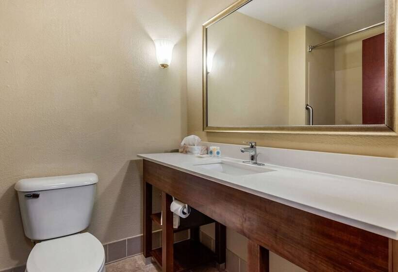 هتل Comfort Suites Daytonwright Patterson