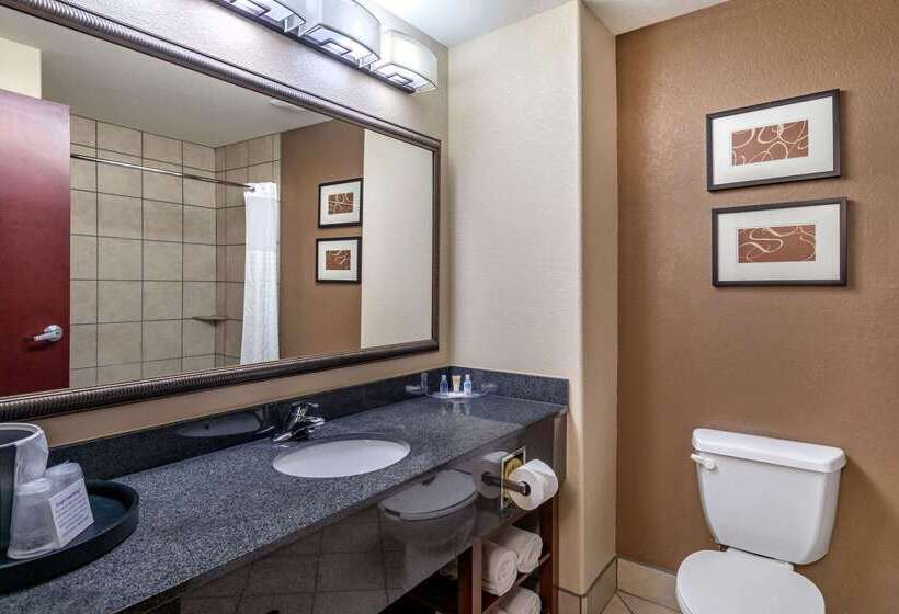 酒店 Comfort Suites