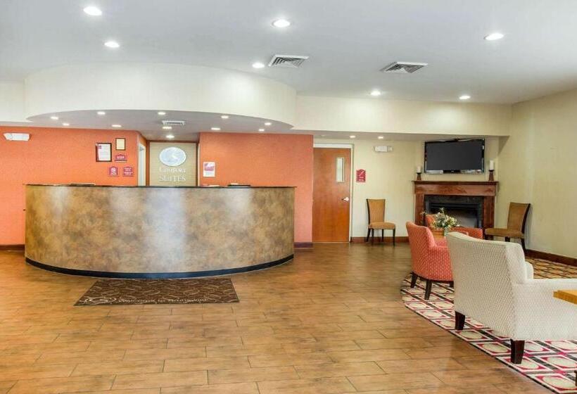 هتل Comfort Suites Golden Isles Gateway
