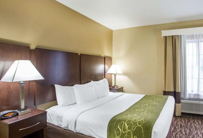 酒店 Comfort Suites