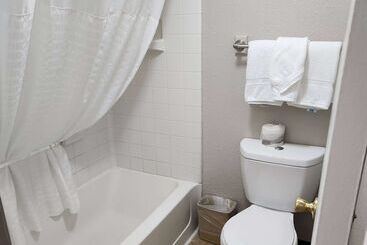 هتل Days Inn By Wyndham Denver Downtown