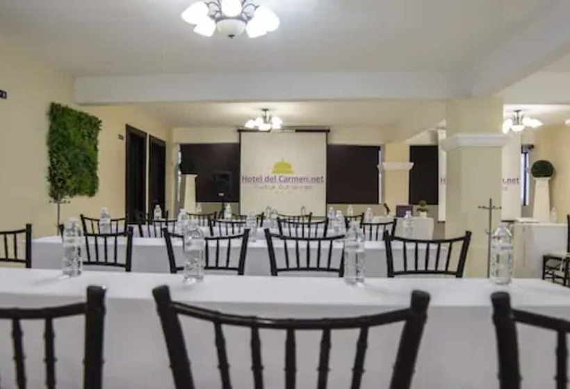 Fotos del hotel Del Carmen, En El Centro De Tuxtla Gutiérrez:  39
