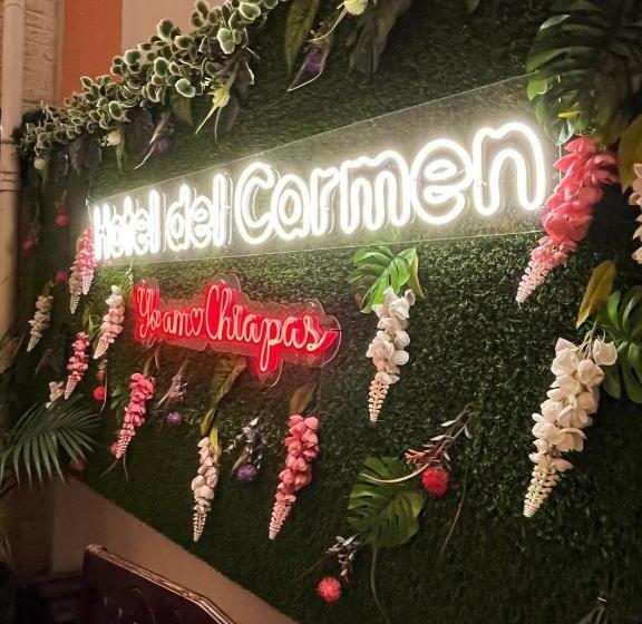 Fotos del hotel Del Carmen, En El Centro De Tuxtla Gutiérrez:  19