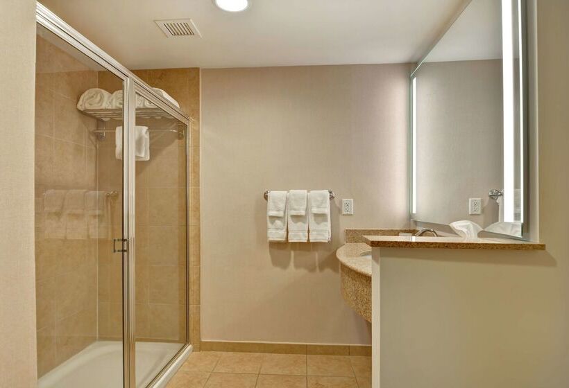 Fotos del hotel Hilton Garden Inn Orlando Lake Buena Vista:  37